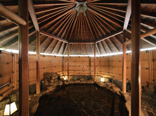 ≪HP価格≫【素泊り】自由気ままに道後旅～閑かな老舗旅館で、温泉を楽しむシンプルステイ～全室Wi-Fi無料